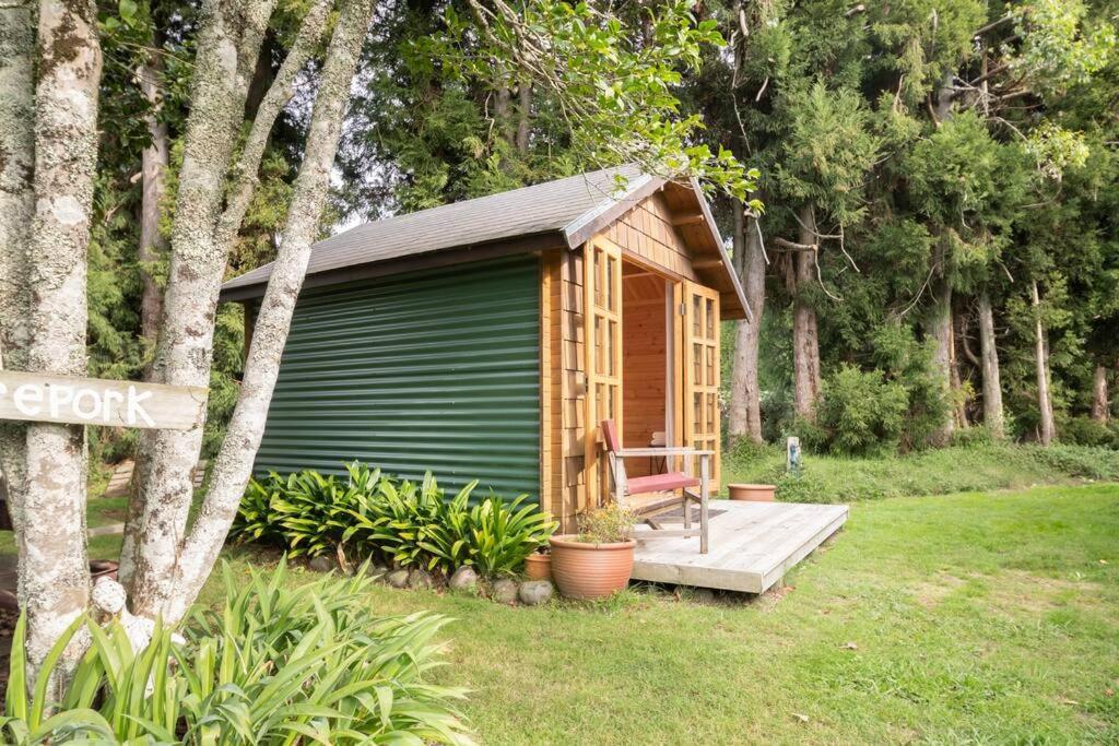 Tui Ridge Eco Cabins Aongatete Ngoại thất bức ảnh