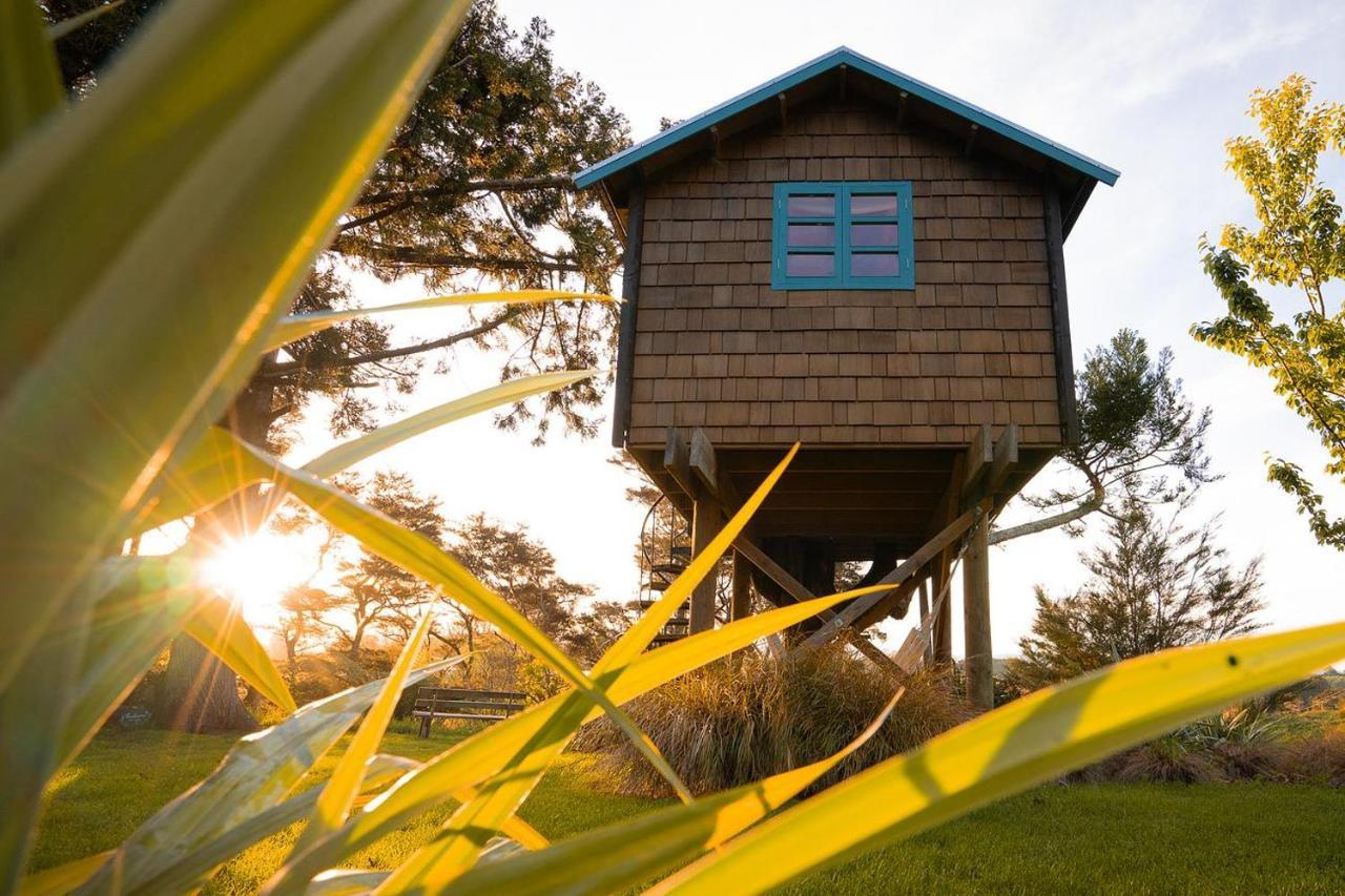 Tui Ridge Eco Cabins Aongatete Ngoại thất bức ảnh