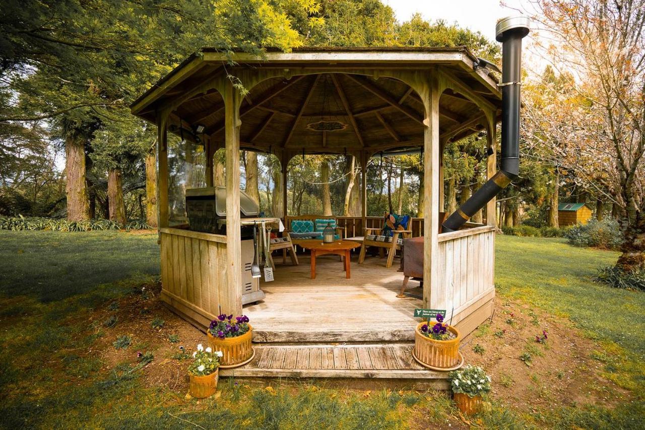 Tui Ridge Eco Cabins Aongatete Ngoại thất bức ảnh