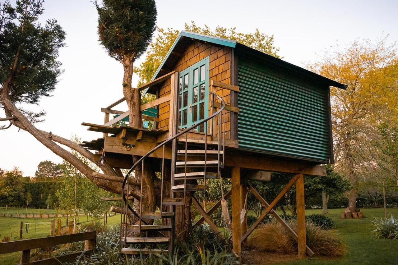Tui Ridge Eco Cabins Aongatete Ngoại thất bức ảnh