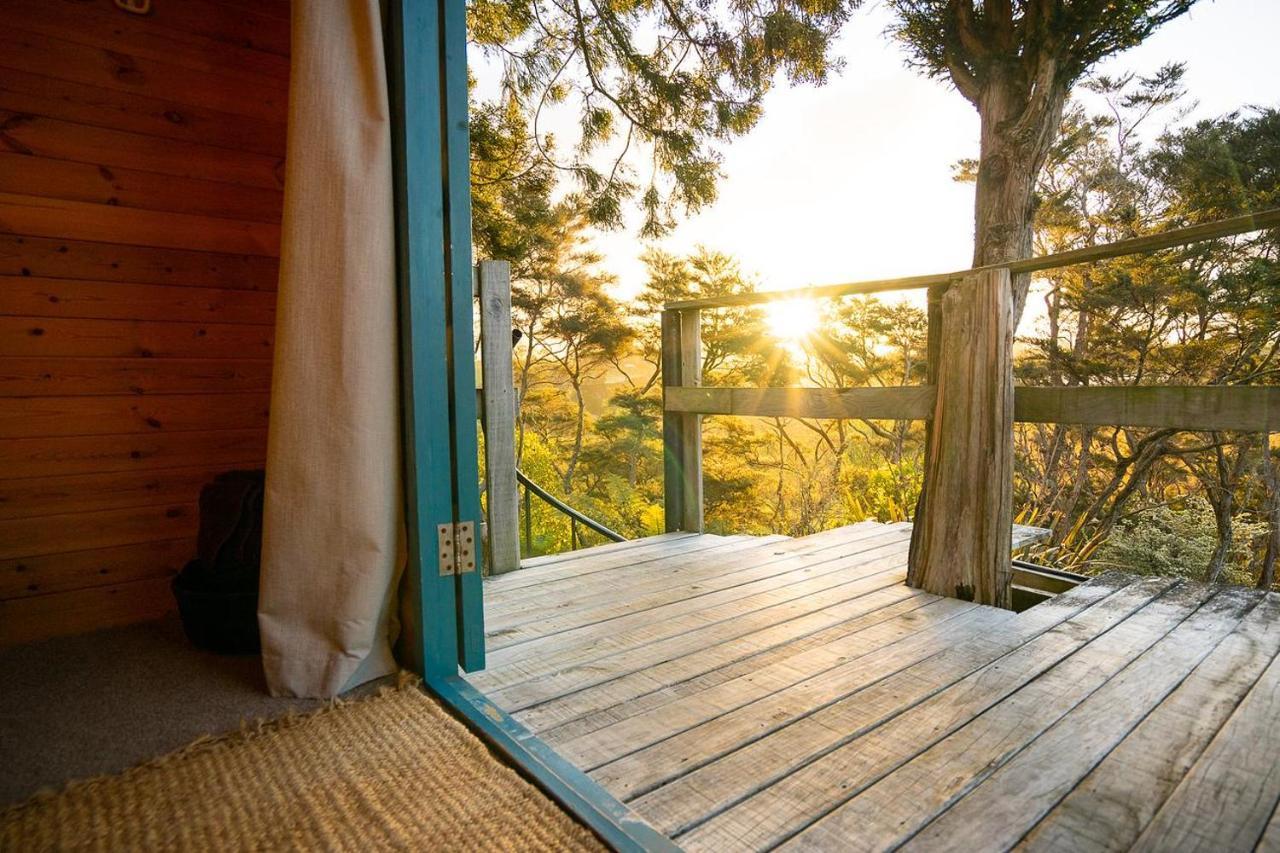 Tui Ridge Eco Cabins Aongatete Ngoại thất bức ảnh