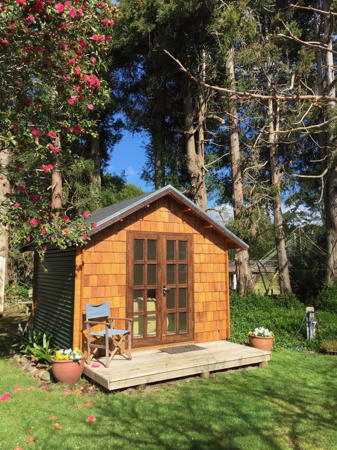 Tui Ridge Eco Cabins Aongatete Ngoại thất bức ảnh