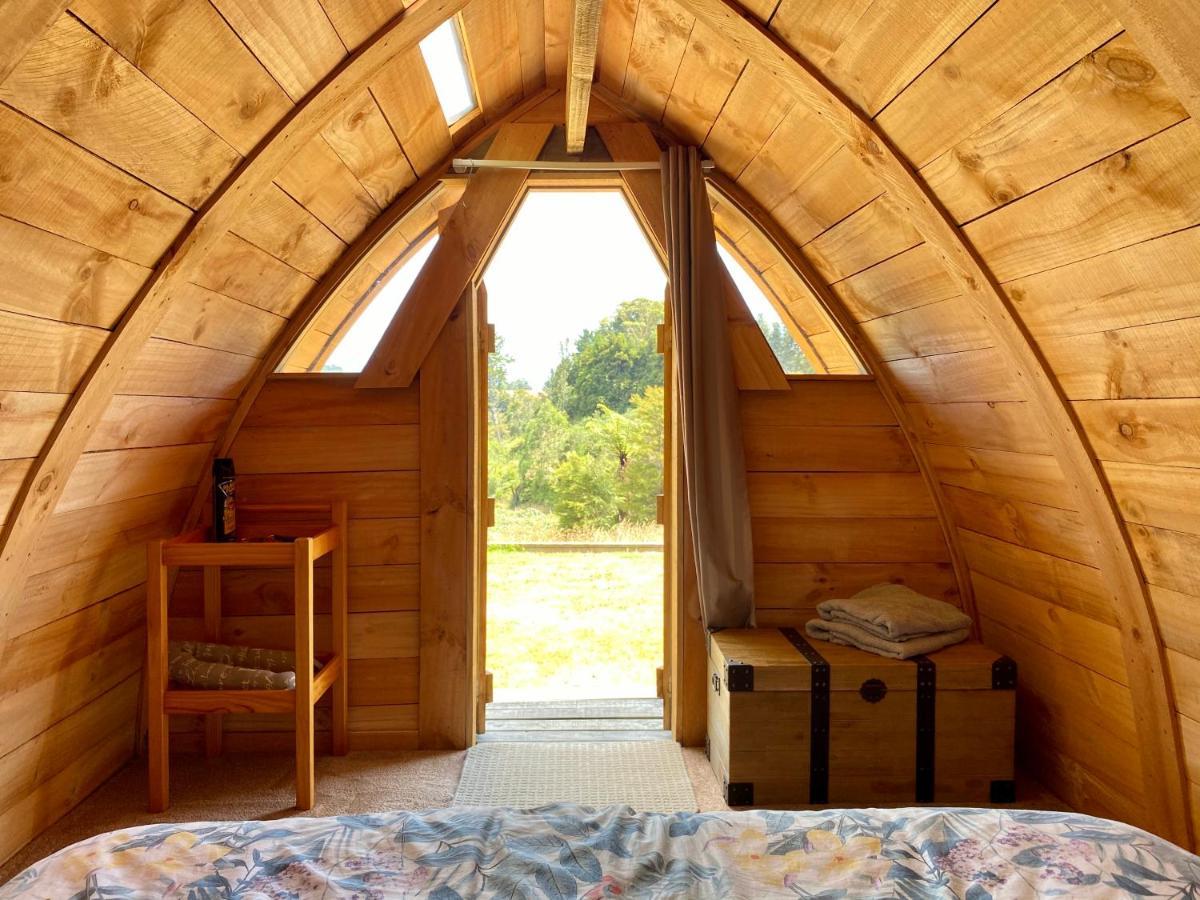 Tui Ridge Eco Cabins Aongatete Ngoại thất bức ảnh