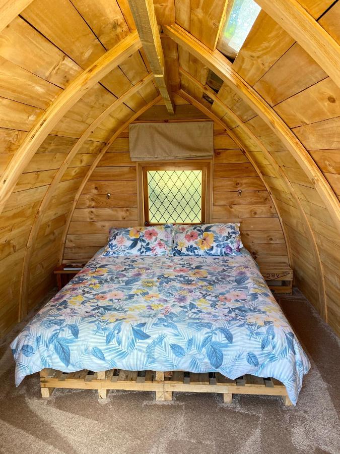 Tui Ridge Eco Cabins Aongatete Ngoại thất bức ảnh