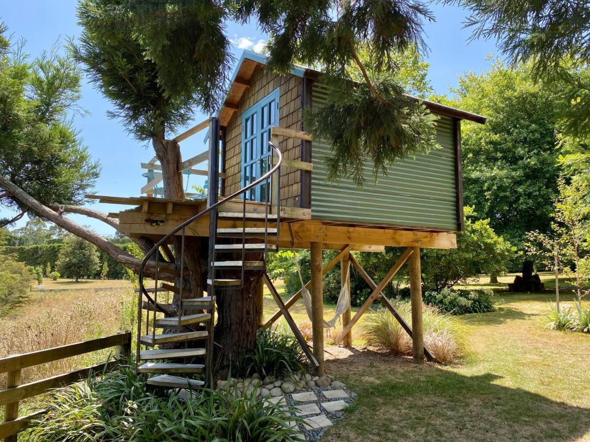 Tui Ridge Eco Cabins Aongatete Ngoại thất bức ảnh