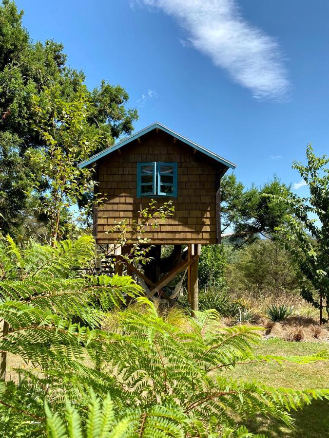 Tui Ridge Eco Cabins Aongatete Ngoại thất bức ảnh